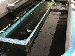-小象钓虾·营地烧烤(洛溪店)