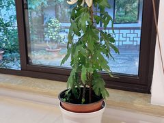 -汇龙潭