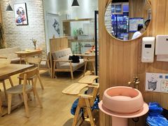 -藏猫猫咖啡主题馆(中央大道店)