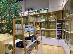 -屋虎猫馆(宝安大仟里店)