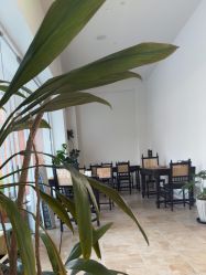 -WAVE SODA摄影工作室