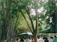 -海南热带野生动植物园
