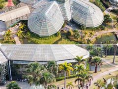 -中国科学院华南植物园