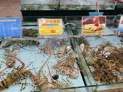 水产区-渔民新村(番禺总店)