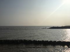 -南汇嘴观海公园