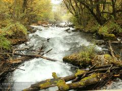 -叠溪松坪沟景区