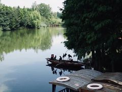 -溱湖国家湿地公园