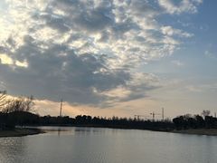 -九科绿洲
