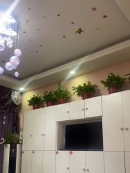 -香薇妮丝·定制减肥·身材管理