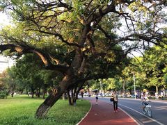 -广西大学(大学东路校区)