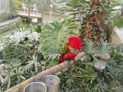 -南宫五洲植物乐园