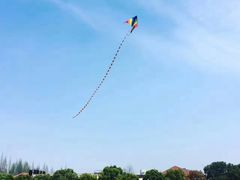 -同济大学(沪西校区)