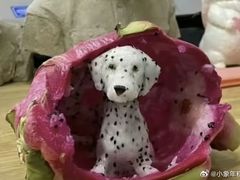 -云柏居青年旅舍(西关十字店)