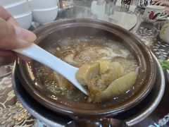 -大中鱼翅 Taitong Shark Fin