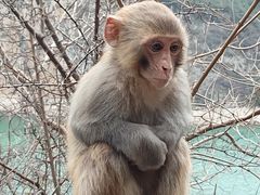 -白帝城·瞿塘峡景区