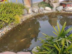 -厦门园林博览苑