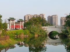 -王借岗森林公园