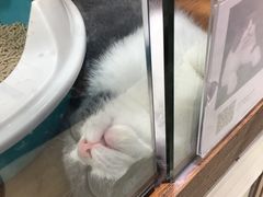 -龟与熊猫宠物公园(南坪店)