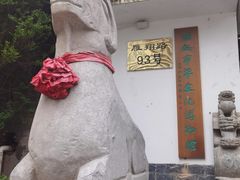 -石羊农庄