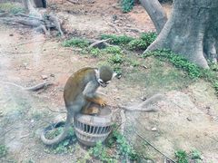 -灵玲国际马戏城