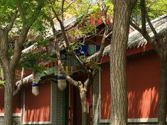 -天津妈祖文化园