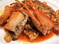 -鱼翅楼·津派砂锅鱼翅(水上公园店)