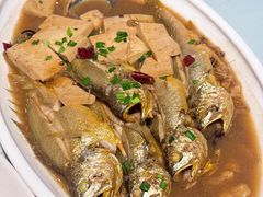 -福来齐·鲁菜海鲜·渔家菜(朝阳街分店)
