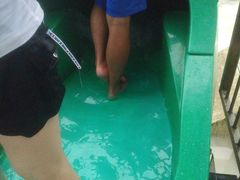 -重庆海昌加勒比海水世界