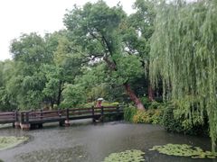 -西湖游船