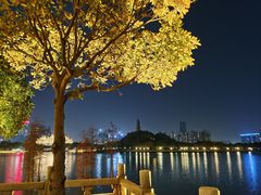 -顺峰山公园