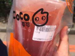 -CoCo都可(西安路民勇店)