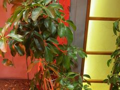 -万里闯关东铁锅炖菜馆(高新旗舰店)