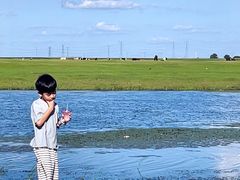 -哈拉新村
