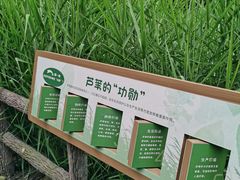 -成都市活水公园