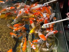 -太平洋海底世界