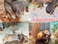 -正佳雨林生态植物园