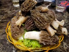 -菌海森林·非遗野生菌火锅(西山区滇池路摩根道店)