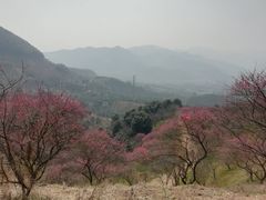 -溪口-滕头旅游景区