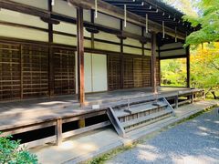 -西芳寺(苔寺)