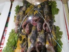 -靠山屯东北农家菜(八龙桥雅苑店)