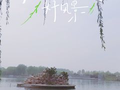-石家庄市植物园