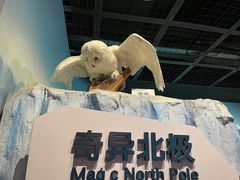 -陕西自然博物馆