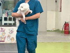 -全心全意动物诊疗中心医院(北苑店)