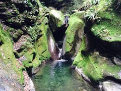 -黑河国家森林公园