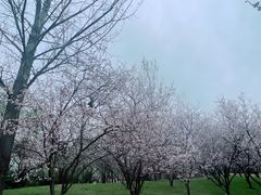 -秦岭终南山世界地质公园翠华山景区