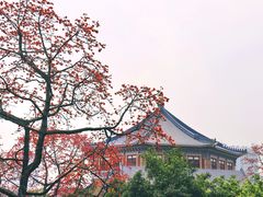-广州中山纪念堂