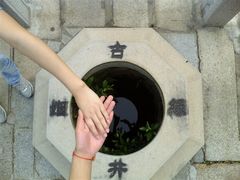 -三水森林公园