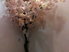 -樱花里音乐餐吧·牛扒椰子鸡(东圃店)