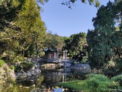 -叶家花园