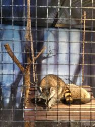 -酷嗒动物文化乐园(cutezoo西溪乐天城店)